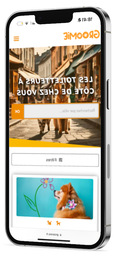 Client Elionie - Groomie